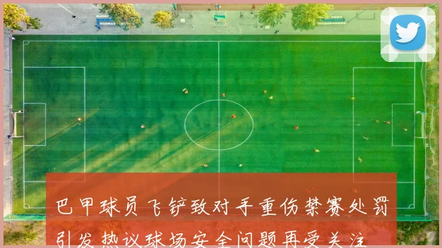 巴甲球员飞铲致对手重伤禁赛处罚引发热议球场安全问题再受关注
