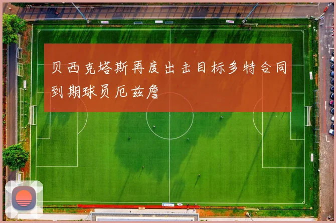 贝西克塔斯再度出击目标多特合同到期球员厄兹詹
